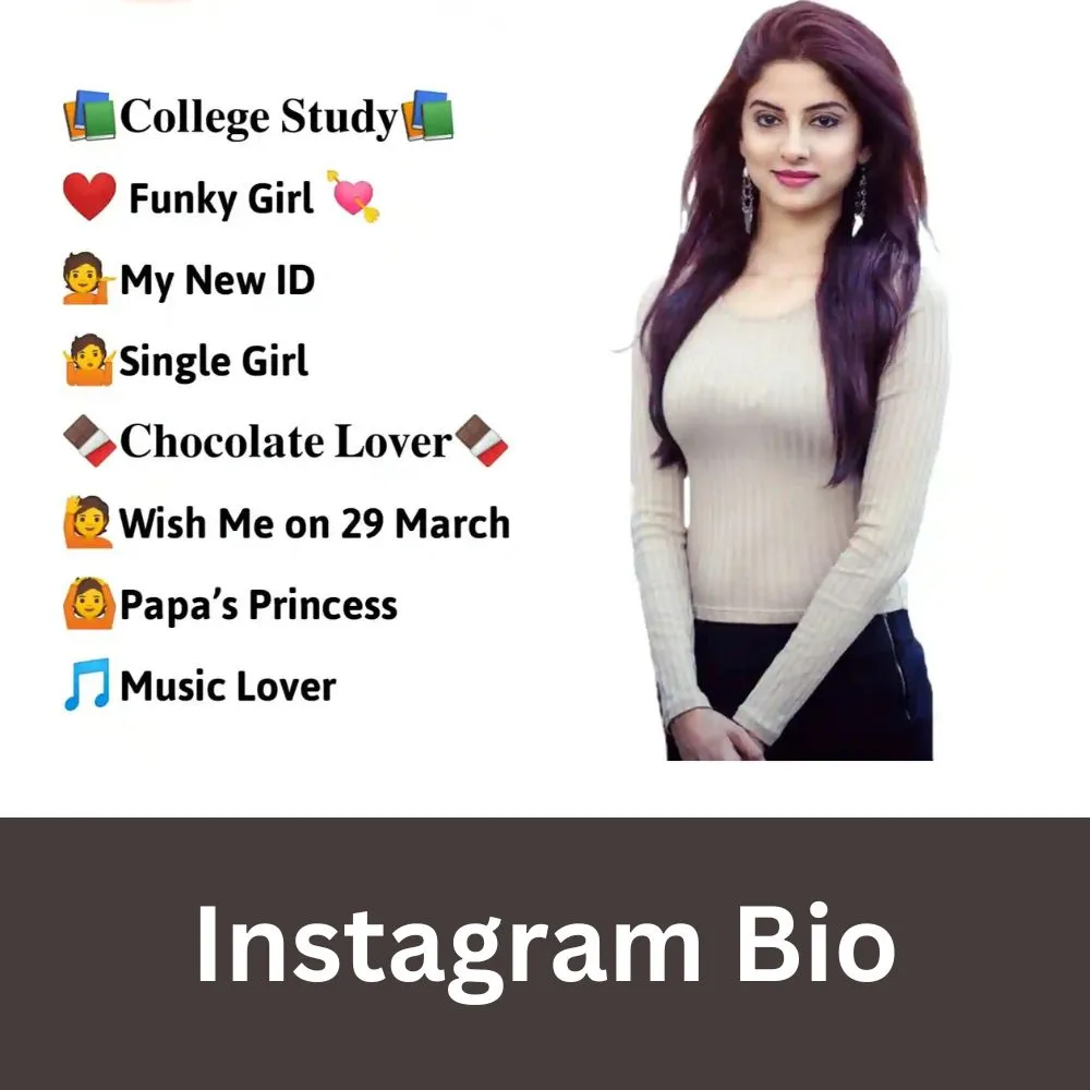 Best Instagram Bio For Girl Stylish Font 